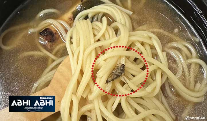 Zomato से ऑर्डर किए Noodles, निकला कॉकरोच; महिला ने की शिकायत