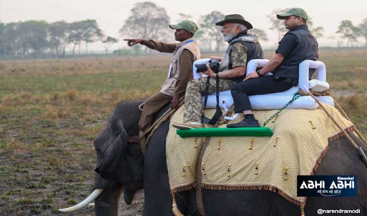PM Modi पहुंचे असम के काजीरंगा नेशनल पार्क, हाथी पर बैठकर की जंगल सफारी