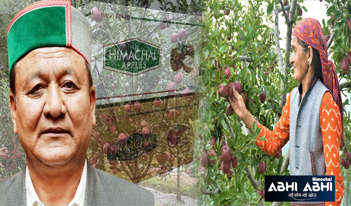 Jagat Negi: हिमाचल में इस सीजन से यूनिवर्सल कार्टन में बिकेगा सेब, अधिसूचना जारी