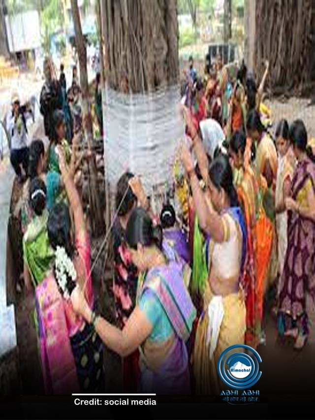 वट सावित्री व्रत के दिन वटवृक्ष पर क्यों बांधते हैं कच्चा सूत? जानें