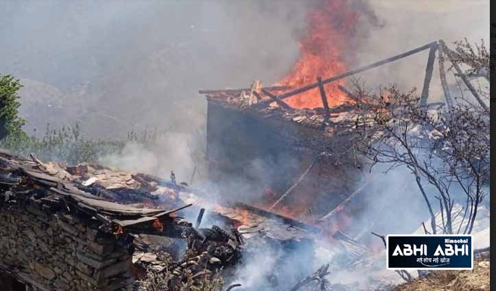 भीषण अग्निकांड : खेतों में था परिवार और घर में लग गई आग, 11 बेजुबानों की गई जान