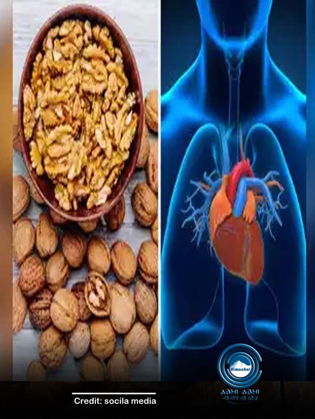 सुबह खाली पेट अखरोट खाने से होते हैं गजब के फायदे