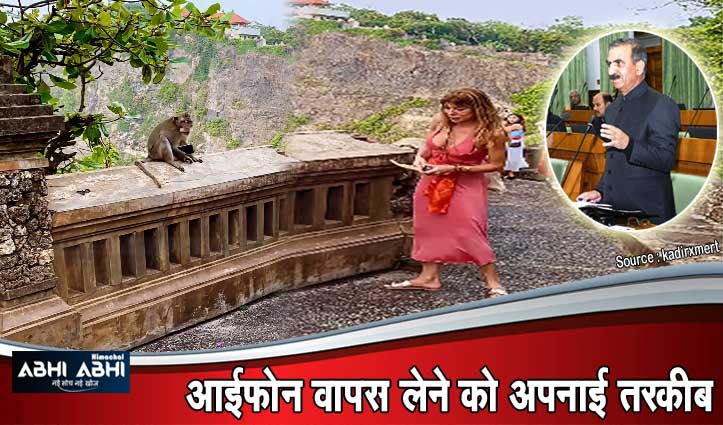 Sukhu जी Monkey हिमाचल ही नहीं विदेशों में भी हैं समस्या,ताजा Video देख CM भी हंसेंगे