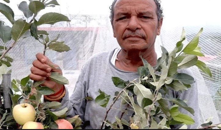 हिमाचल के Hariman Sharma को Padma Shree, गर्म इलाकों में उगा दिया सेब