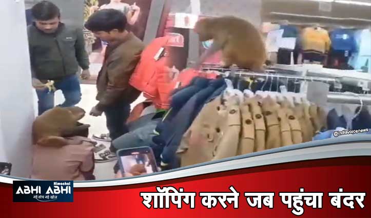 बंदर ने मॉल में मचाया उत्पात,जमकर की उथल-पुथल-लड़की को किया परेशान