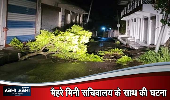 हमीरपुर में तूफान का कहर: झुग्गी पर गिरा पेड़ बेटे की मौ#त, पिता घायल