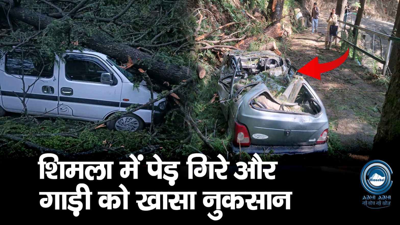 Shimla | Strong Winds | Car Tree