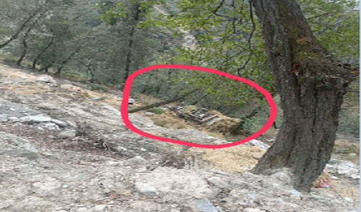 चंबा के नकरोड़-चांजू मार्ग पर हादसा, खाई में गिरी पिकअप, चालक गंभीर