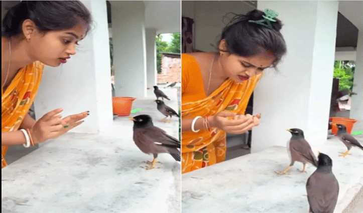 चिड़िया से बात करती है ये महिला, इंसान और पक्षी का अनोखा दोस्ताना देख दिल हार बैठेंगे