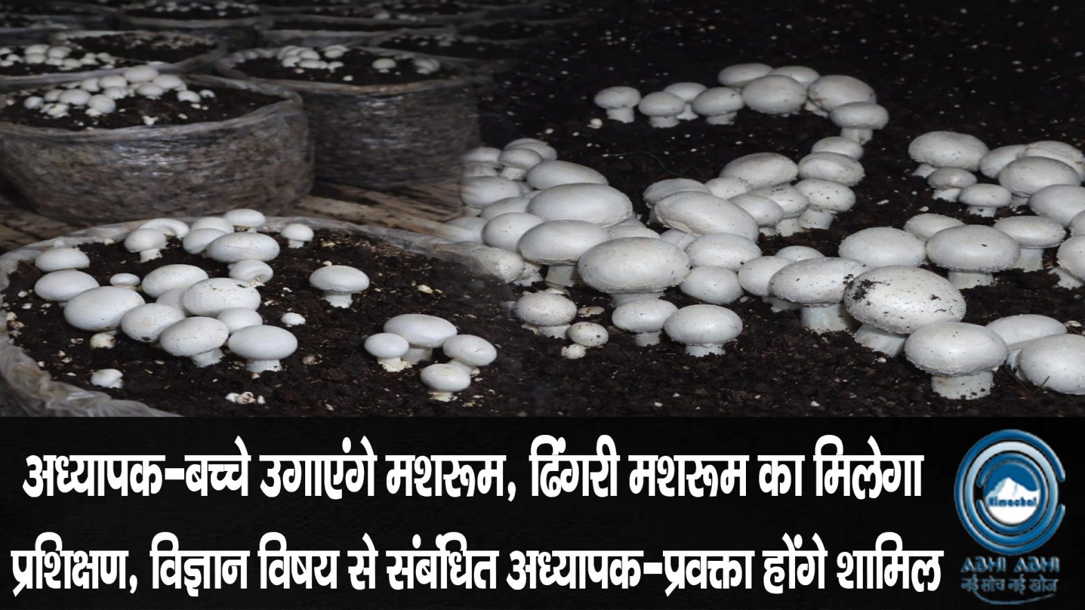 Mid Day Meals | Mushroom | Unique Initiative |