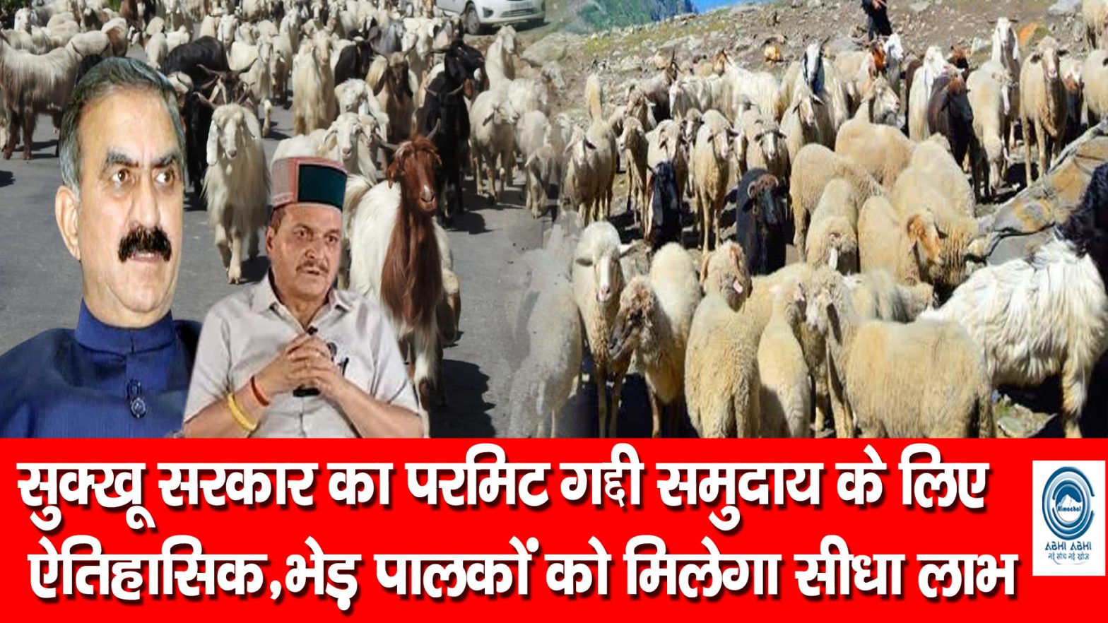 Wool Federation | CM Sukhu | Sheep Herder |