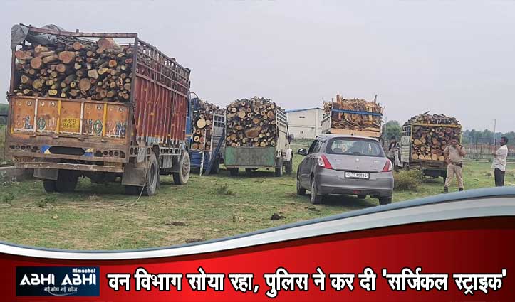 फतेहपुर में ‘पुष्पा’ स्टाइल में लकड़ी तस्करी का भंडाफोड़: 7 बोलेरो और 1 ट्रक जब्त, पुलिस की बड़ी कार्रवाई