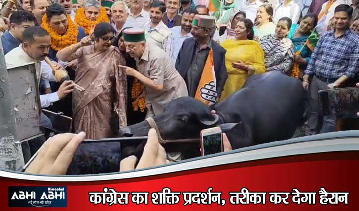 ‘सरकार सुन नहीं रही’: सोलन में कांग्रेस का रोष, केंद्र के खिलाफ भैंस के आगे बीन बजाकर किया अनोखा विरोध