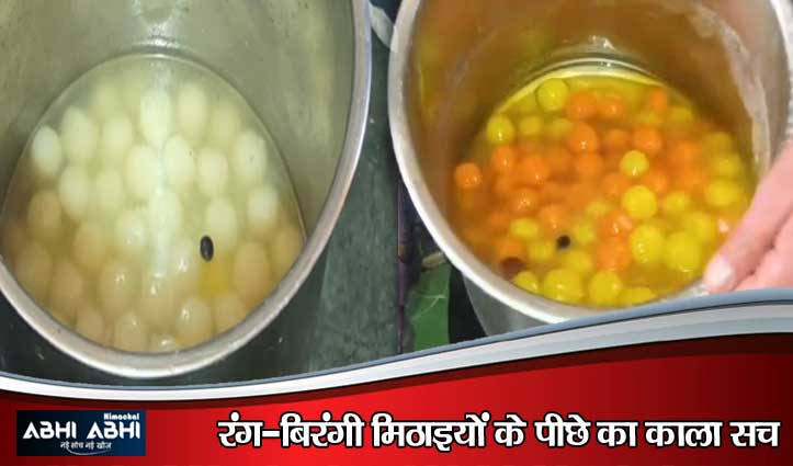 शिमला में लोगों की सेहत से खिलवाड़: मिठाई में मिले कॉकरोच, विभाग ने जारी किए नोटिस